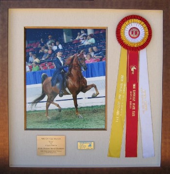 Champion Horse with Ribbon